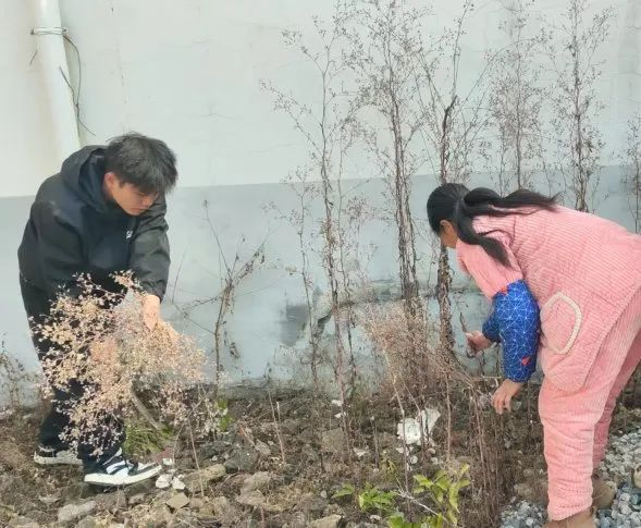 微信图片_20250127134031.png