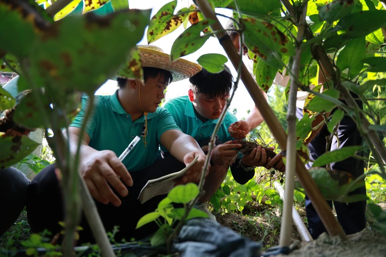 微信图片_2026-07-23_140914_729.jpg 微信图片_2026-07-23_140914_729.jpg